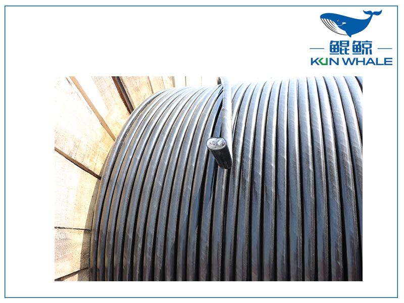 鄭州電纜廠家：什么是RVS電纜？