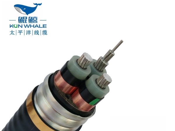 太平洋線纜帶你了解為什么選擇鋁合金電纜？