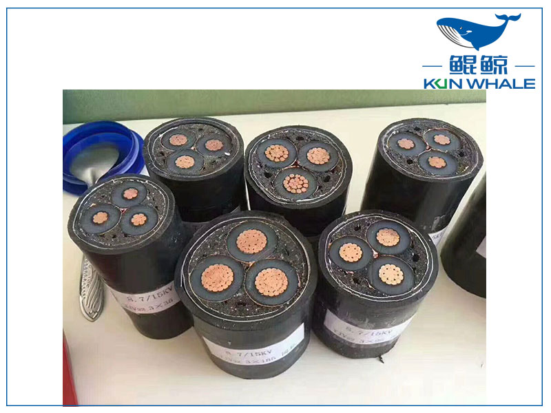 鄭州電纜廠(chǎng),太平洋線(xiàn)纜,35KV電纜,35KV電纜使用場(chǎng)所有哪些？